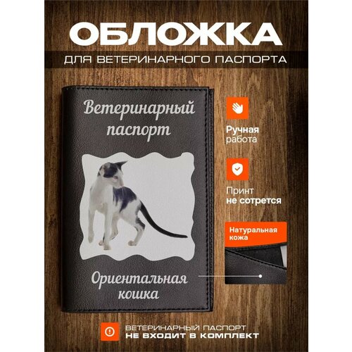 Обложка на ветеринарный паспорт для кошек с принтом Ориентальная кошка фотография