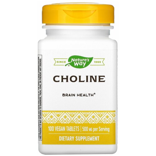 CHOLINE 500mg 100 tabs NW фотография