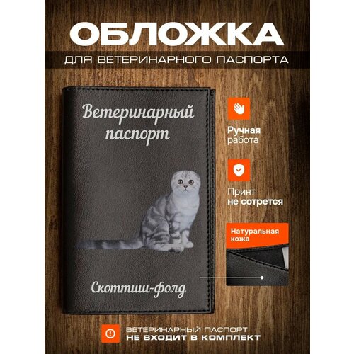 Обложка на ветеринарный паспорт для кошек с принтом Скоттиш-фолд фотография