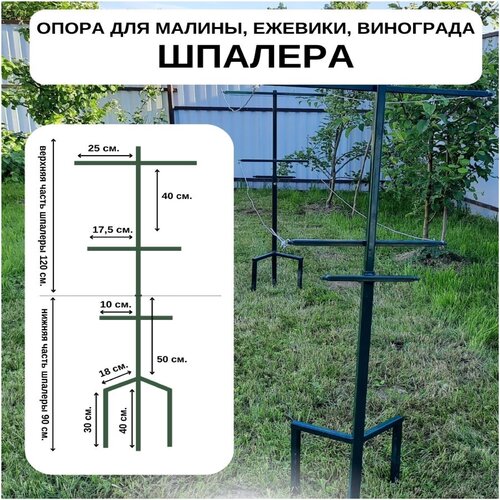 Шпалера для малины, опора для винограда и вьющихся растений фотография