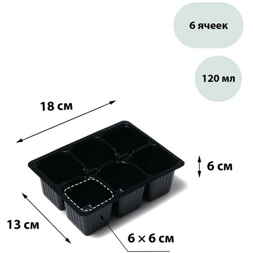 Кассета для рассады Greengo на 6 ячеек, по 120 мл, пластиковая, чёрная, 18 × 13 × 6 см, в наборе 10 шт. фотография