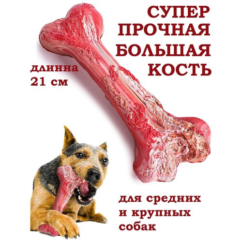 Игрушки для собак, кость, грызунок, кусалка для собак, зубочистки, антистресс фотография