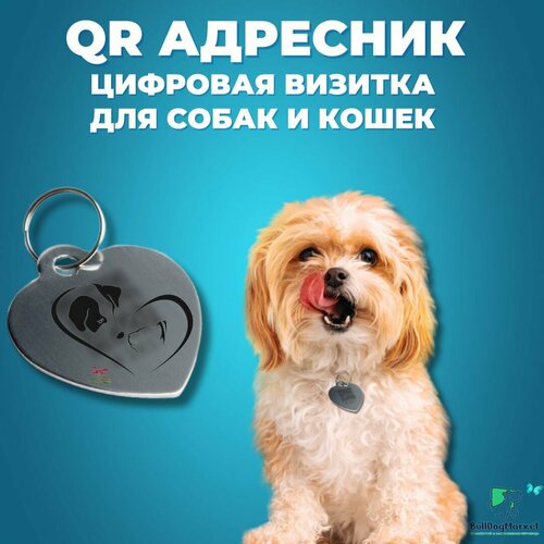 фотография Адресник для собак и кошек с гравировкой QR кода, сердечко, купить за 253 р