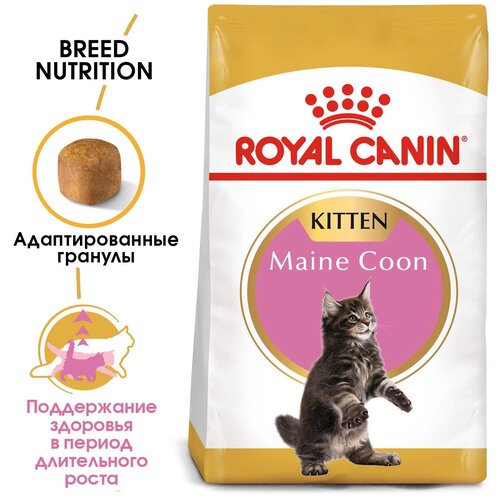 Корм сухой ROYAL CANIN MAINE COON KITTEN корм для котят породы мейн-кун в возрасте от 3 до 15 месяцев 10 кг х 2 шт фотография