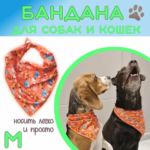 Бандана для собак и кошек, Funny dogs, M фотография