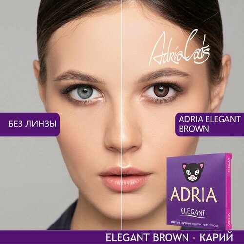 Контактные линзы ADRIA Elegant, 2 шт., R 8,6, D -6,5, brown, 1 уп. фотография