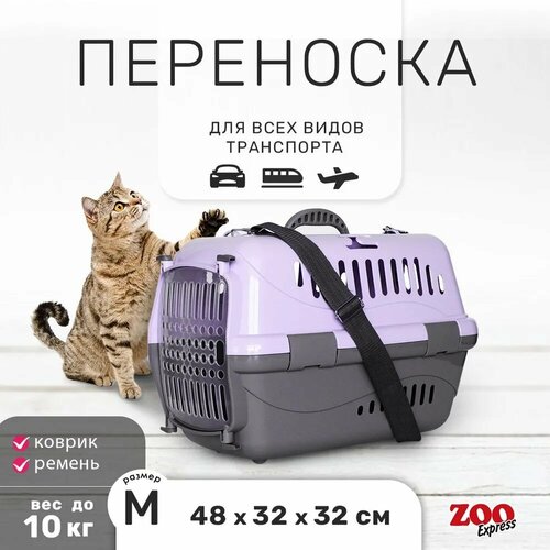 Переноска для животных Zooexpress Турне M с пластиковой дверцей (коврик + ремень) 48*32*32 см фиолетовая фотография