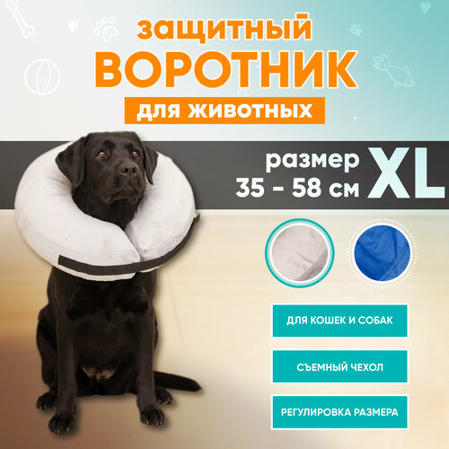 Защитный ветеринарный воротник для собак и кошек Mr Dog, XL фотография