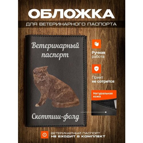 Обложка на ветеринарный паспорт для кошек с принтом Скоттиш-фолд фотография