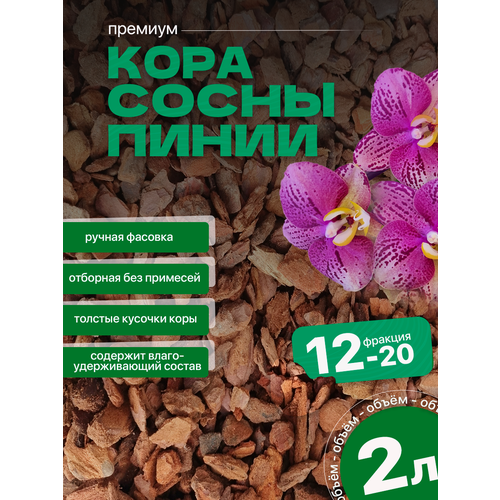 Отборная кора из сосны пинии для Орхидей 2л, фракция 12-20мм, аналог орхиата фотография