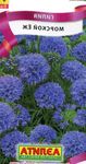 lilas les fleurs du jardin Gilia, Yeux De Oiseaux Photo